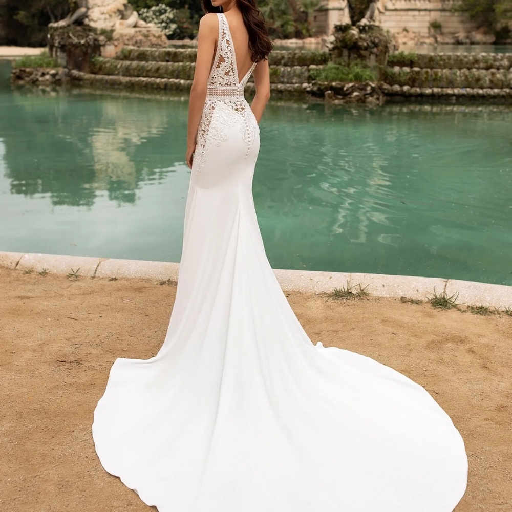Pronovias Wedding Dress - Picture 12 of 13